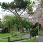 journées architecture, kansei