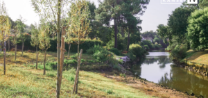 Renaturation du littoral aquitain et enjeux de biodiversité